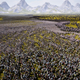Image for article titled Ultimate Epic Battle Simulator 2 Will Put "Millions" Of Characters On The Screen
